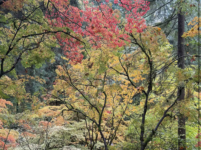 Washington Park Arboretum Washington Park Arboretum