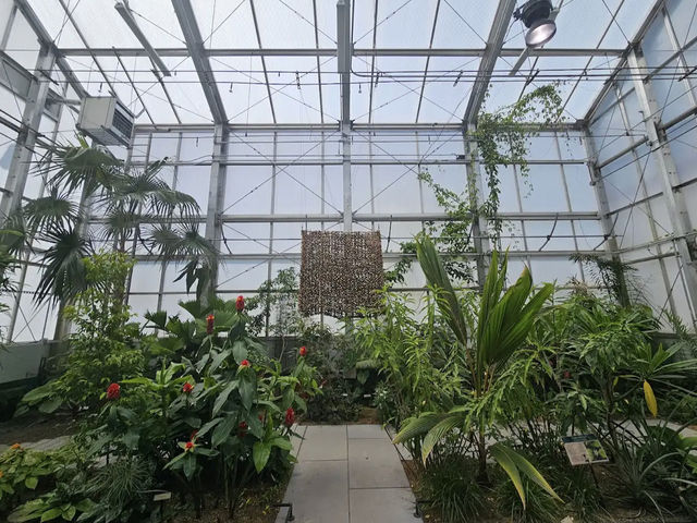 University of California Botanical Garden