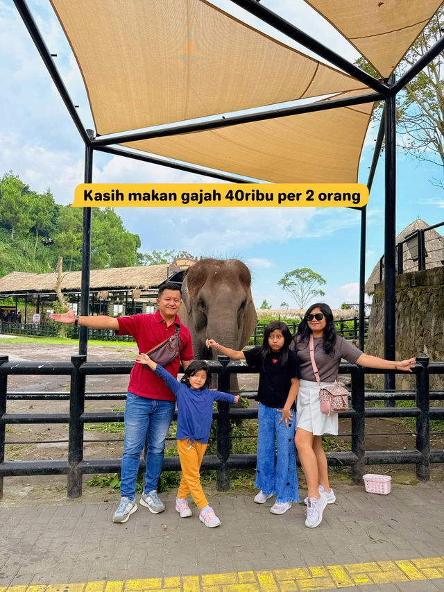 Budget Main di Lembang Park Zoo