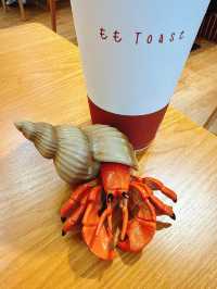 桃園｜假日吵雜的早餐店