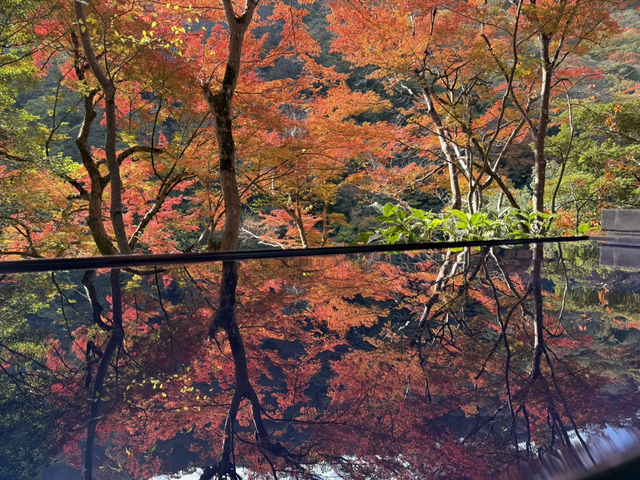 🍁 嵐山深處的秋日詩篇:夢幻祐斎亭遊記 🍁 嵐山深處的秋日詩篇:夢幻祐斎亭遊記