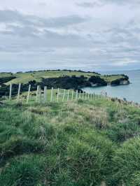 A Scenic Coastal Haven with Calm Waters and Open Horizons