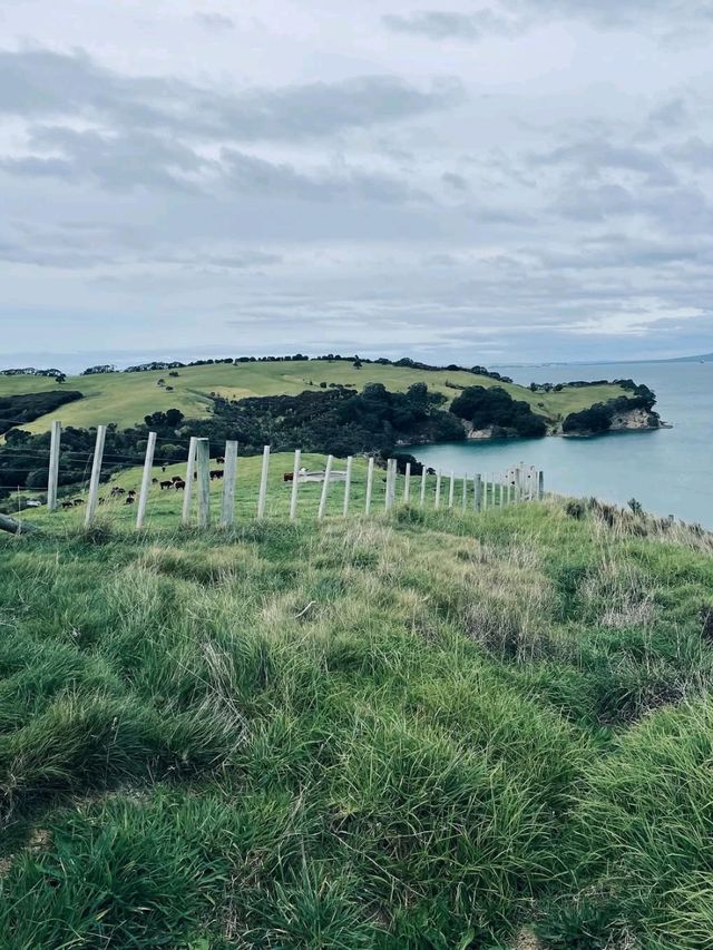 A Scenic Coastal Haven with Calm Waters and Open Horizons A Scenic Coastal Haven with Calm Waters and Open Horizons