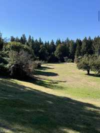 Queen Elizabeth Park