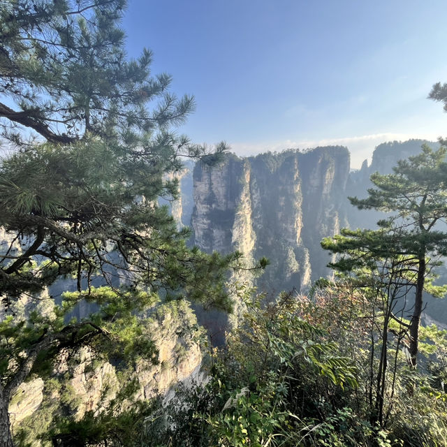  Zhangjiajie East Gate — A One-Day Journey Through Peaks, Clouds & Surprises