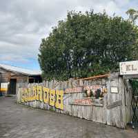 สนุกสุดมันส์ที่ Rainbow’s End สวนสนุกในนิวซีแลนด์