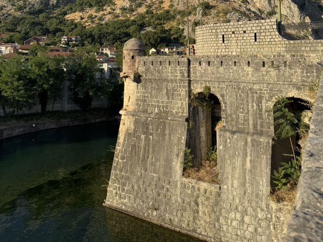 🌊🏰 OLD TOWN KOTOR — MONTENEGRO’S MEDIEVAL TREASURE 🇲🇪✨ 🌊🏰 OLD TOWN KOTOR — MONTENEGRO’S MEDIEVAL TREASURE 🇲🇪✨