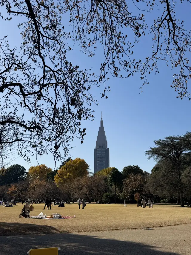 【新宿御苑】銀杏正值觀賞期