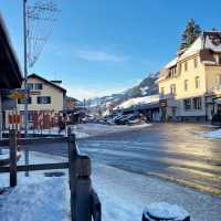 Modern Alpine Life Stay✨