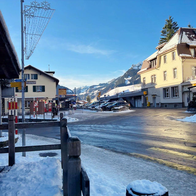 Modern Alpine Life Stay✨