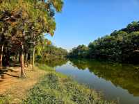 Jade in the Hills: The Mirrored Soul of Lau Shui Heung