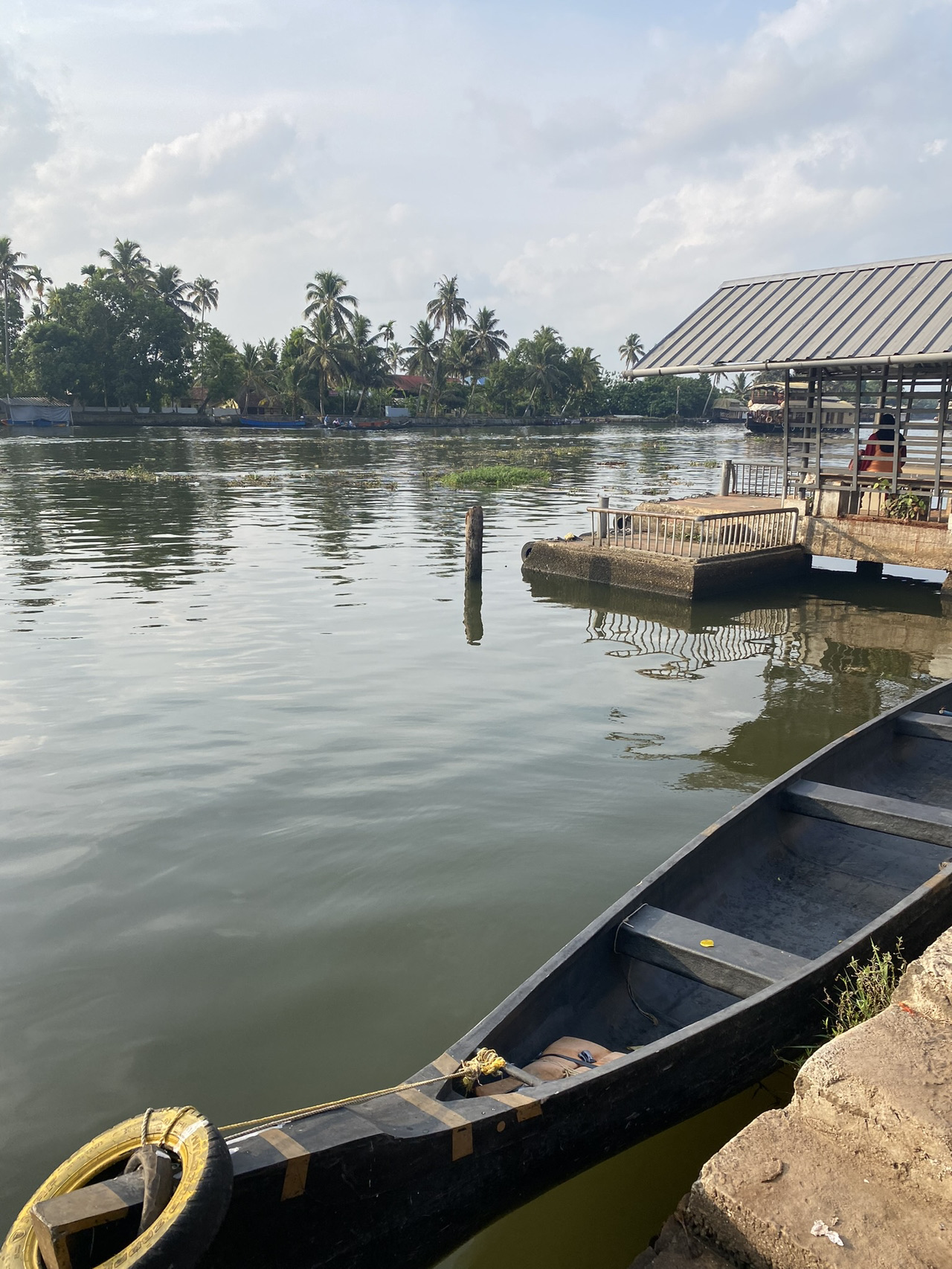 Ernakulam, Kochi, Kerala - Nature Bliss in Kerala 🌿 - 圖 6