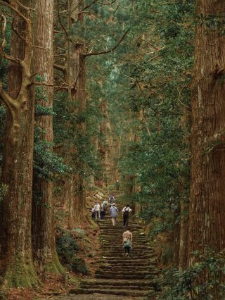 การเดินขบวนบนเส้นทางคุมาโนะโคโดะ: เส้นทางแห่งการภาวนาท่ามกลางสายฝนและหมอก