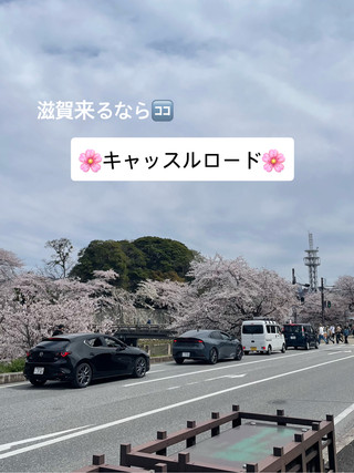 去滋賀縣玩的話,一定要去彥根城旁邊的Castle Road。