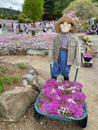 【兵庫縣】春季限定！喺三田享受「花之絨毯」。。