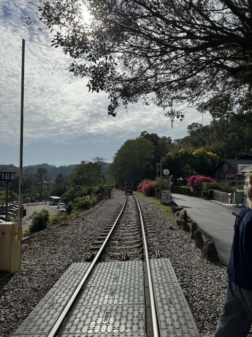 🚲 台湾で最も景色の美しい鉄道の旅の一つ 🌿 オールドマウンテン