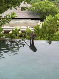 🌊 Clifftop Infinite Blues: A Luxury Review of Umana Bali, LXR Hotels & Resorts 🌴