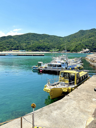 🌊Explore the mysterious sea caves! A complete guide to the Mustard House Gate sightseeing boat tour.