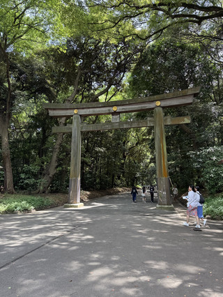 A Day Strolling Through Tokyo: Hanazono Shrine, Meiji Jingu, Togo Shrine, Hikawa Shrine, and Takeshita Street