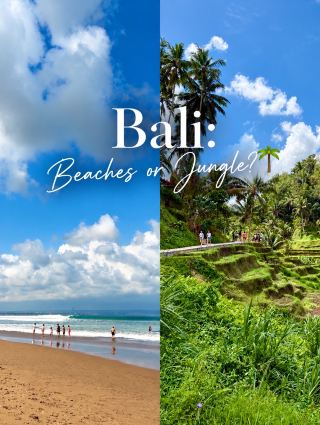 Bali: Beaches or Jungle? 🌴