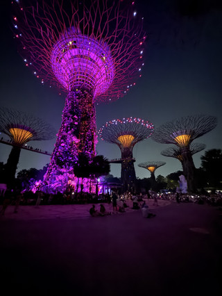 🌃 Gardens by the Bay After Dark: A Magical Night in Singapore