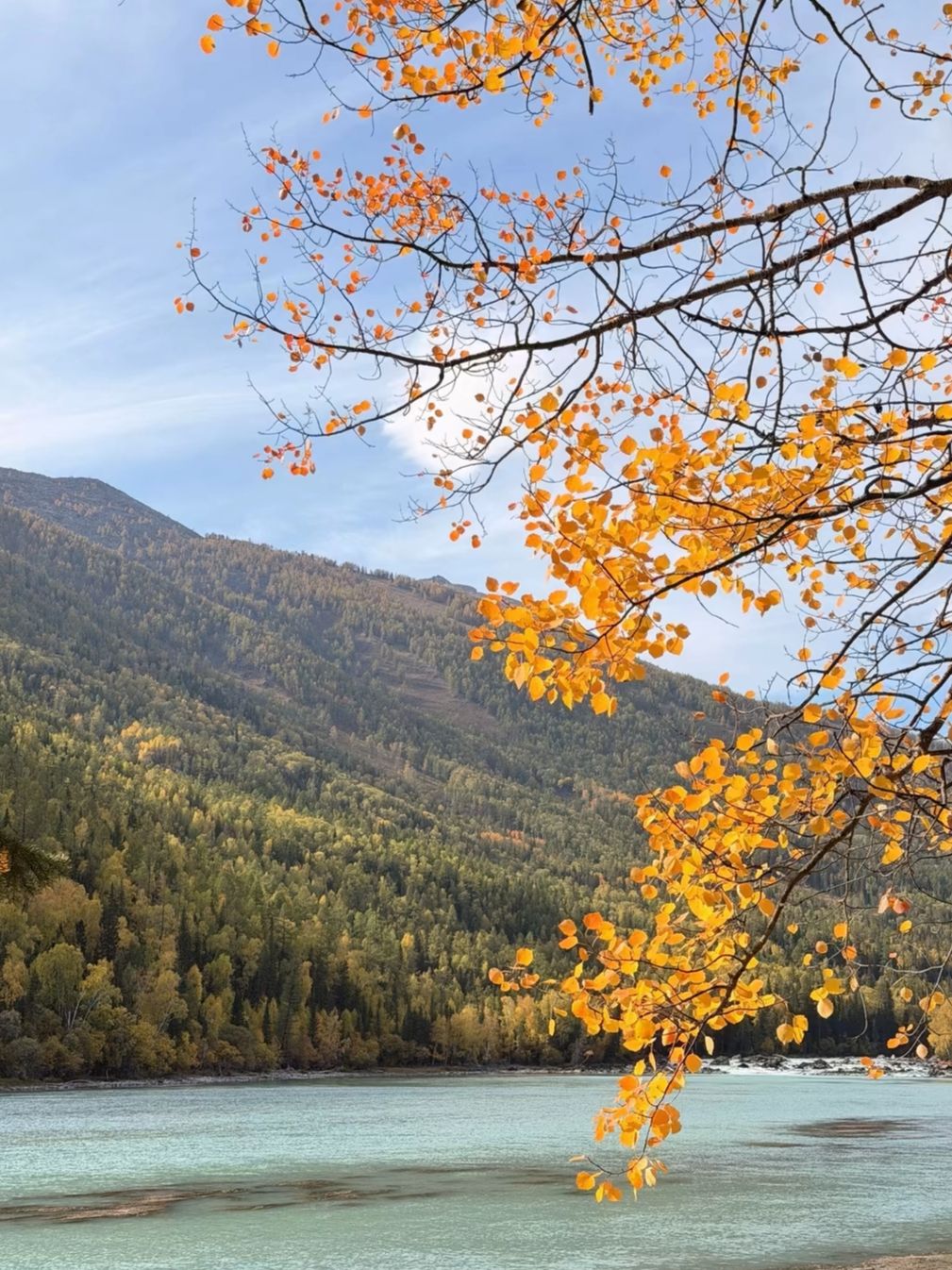 Fall colours in Kanas