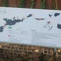 Xiamen home of beauty 