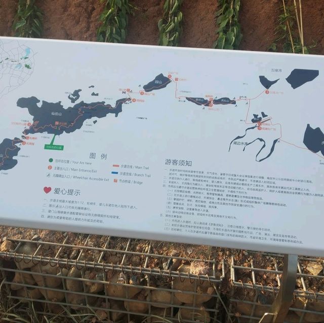 Xiamen home of beauty 