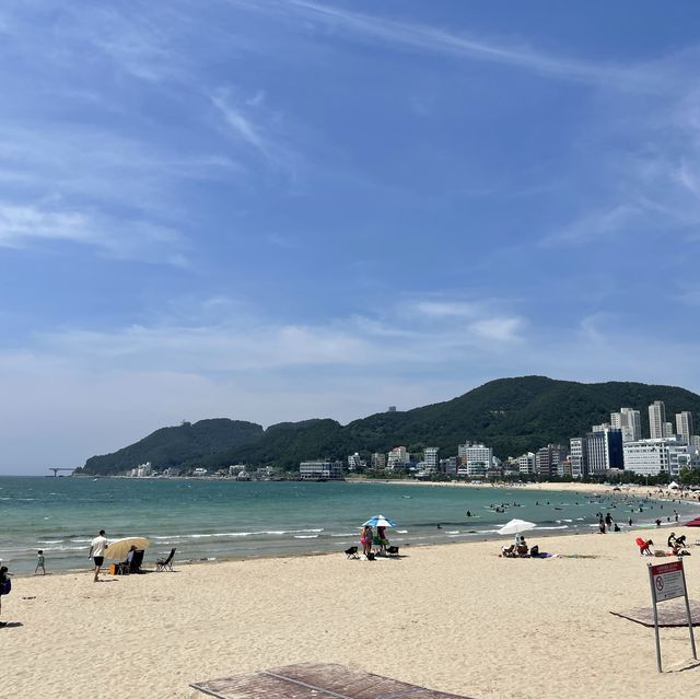 서퍼들이 사랑하는 해수욕장, 부산 송정해변