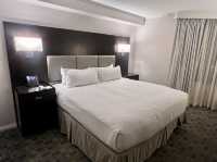 🏨 Urban Comfort in Toronto: DoubleTree