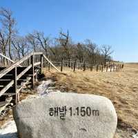 강원도 평창 여행 속이 뻥 뚫리는 힐링! 삼양목장