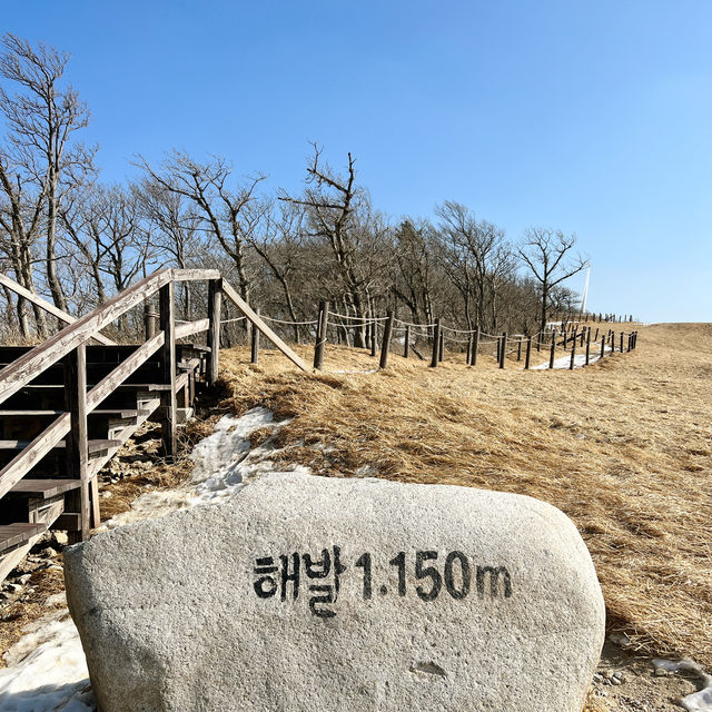 강원도 평창 여행 속이 뻥 뚫리는 힐링! 삼양목장