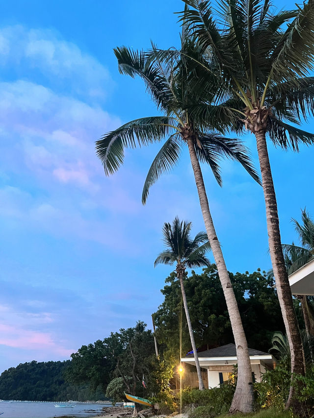 🌴 Paradise Found in El Nido, Philippines 🇵🇭