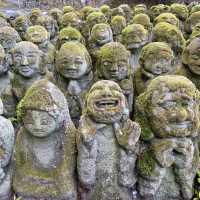 Kyoto and around!