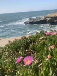 Los Angeles, Gardena, Hermosa Beach, Venice, Santa Monica, Big Bear Lake, San Diego 17-Day Tour: Fro