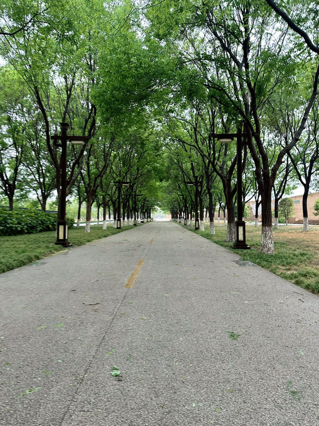 🏯西安丹鳳門遺址博物館｜穿越大唐宮闕的震撼體驗✨