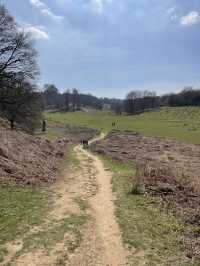 英國賞鹿公園 ｜諾爾莊園
