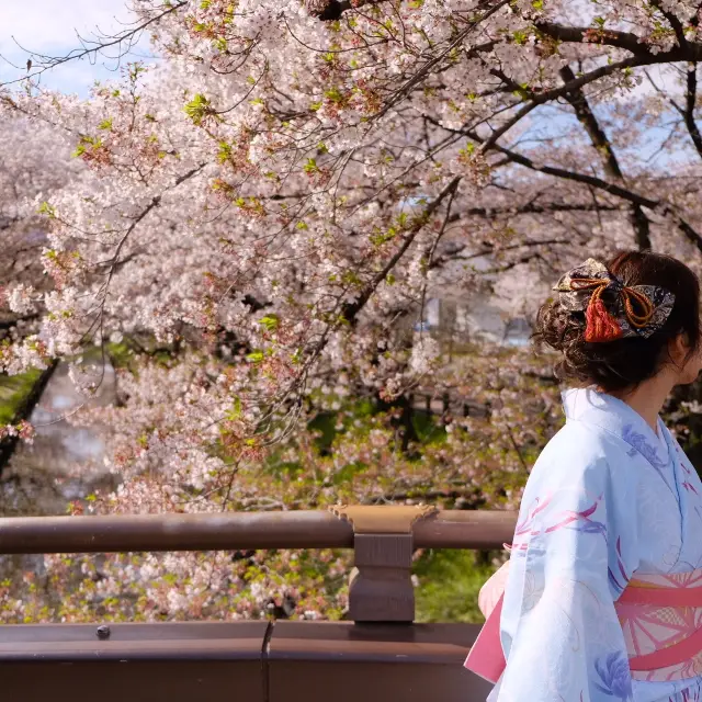 ［東京近郊］比較少人的賞櫻好地方🌸