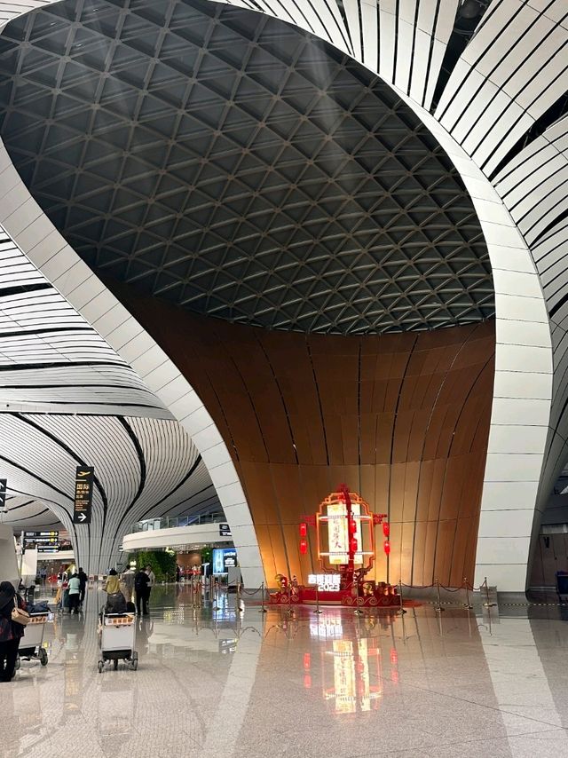 Impressive Daxing Airport  🇨🇳