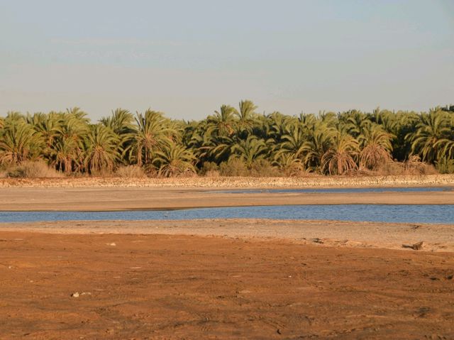 The calm of Bahariya Salt Lake 🇪🇬