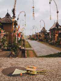  Penglipuran Village