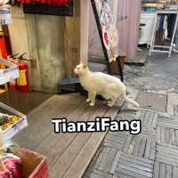 The atmosphere of art and unusual Shanghai