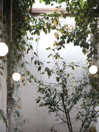 Mexico City | The most beautiful Mexican restaurant in CDMX