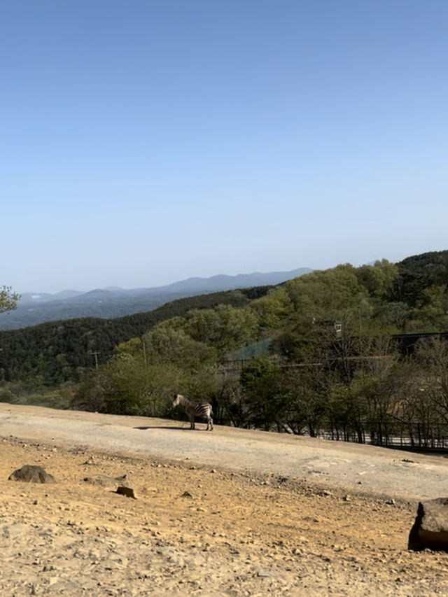 東北サファリパーク