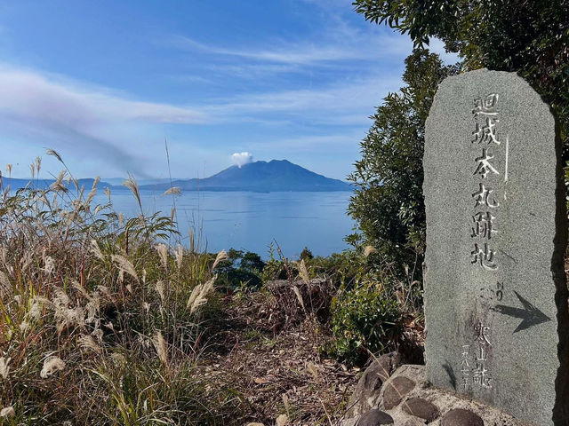 The beauty of Sakura island 