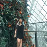 Gardens by the Bay: Singapore’s Futuristic Green Escape