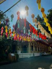 チェンマイに行くべき5つの理由🇹🇭✈️🌎