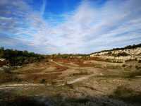 Cherry Hinton Chalk Pits – Nature’s Quiet Corner in Cambridge