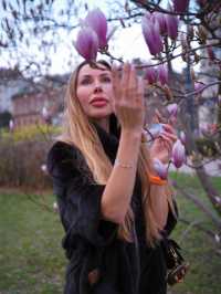 Best time to catch spring blossom in Vienna 