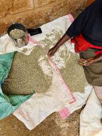 Nairobi Coffee Tour – Bean to Brew, Right at the Source ☕️